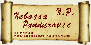 Nebojša Pandurović vizit kartica